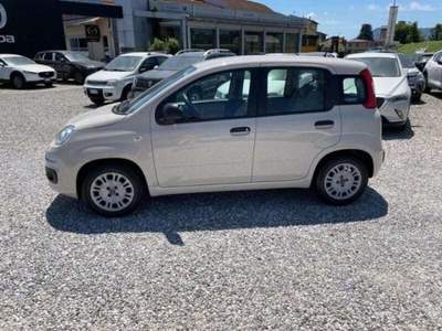 Fiat Panda  Beige usata Lucca