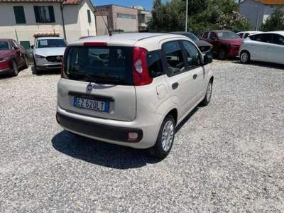 Fiat Panda  Beige usata Lucca