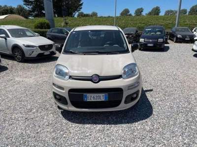 Fiat Panda  Beige usata Lucca