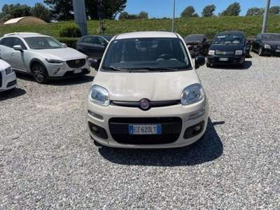 Fiat Panda  Beige usata Lucca