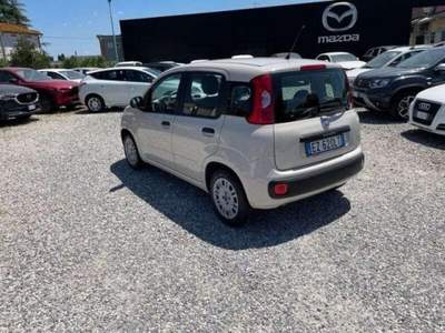 Fiat Panda  Beige usata Lucca