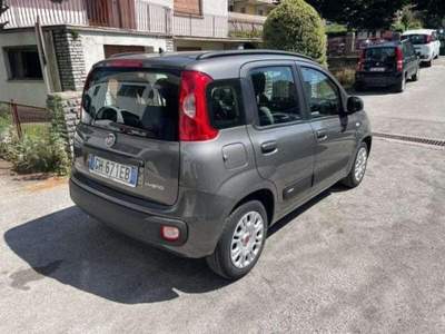Fiat Panda 1.0 FireFly S&S Hybrid usata Lucca