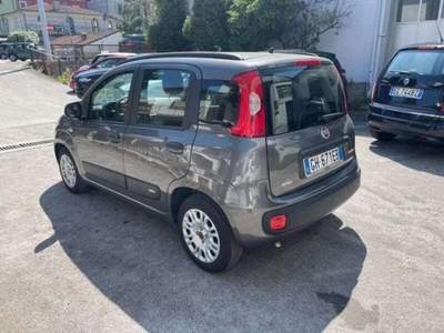 Fiat Panda 1.0 FireFly S&S Hybrid usata Lucca