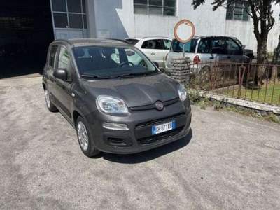 Fiat Panda 1.0 FireFly S&S Hybrid usata Lucca
