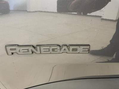 Jeep Renegade 1.5 Turbo T4 MHEV S Grigio usata Palermo