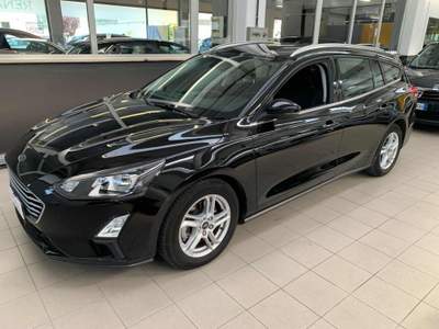 Ford Focus 1.5 EcoBlue 120 CV SW Business Nero usata Tolmezzo