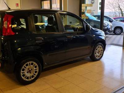 Fiat Panda 1.3 MJT 95 CV S&S Easy Blu/Azzurro usata Campobasso