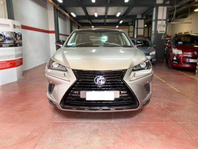 Lexus NX Hybrid 4WD Luxury Grigio usata Verona