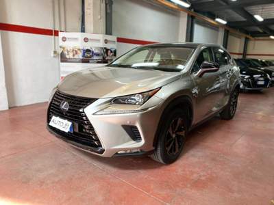 Lexus NX Hybrid 4WD Luxury Grigio usata Verona