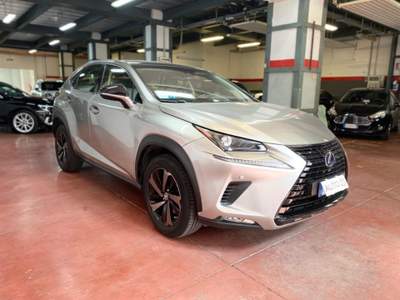 Lexus NX Hybrid 4WD Luxury Grigio usata Verona