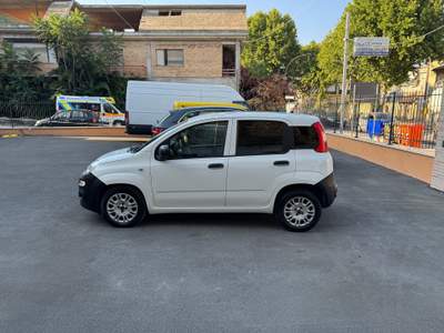Fiat Panda Fiat Panda 1.3 MJT 95 CV S&S Lounge Bianco usata GROTTAMMARE