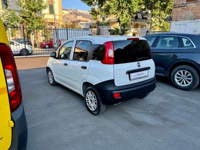 Fiat Panda Fiat Panda 1.3 MJT 95 CV S&S Lounge Bianco usata GROTTAMMARE