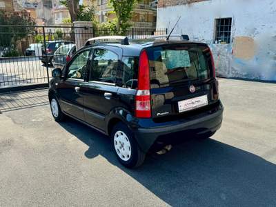 Fiat Panda Fiat Panda 1.2 easypower *GPL*OK NEOPATENTATATI Nero usata GROTTAMMARE