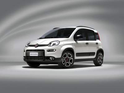 Fiat Panda 1.0 FireFly S&S Hybrid City Life Bianco usata Cardano al Campo