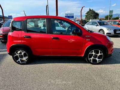 Fiat Panda 1.0 firefly hybrid Sport s&s 70cv Rosso usata Tavagnacco