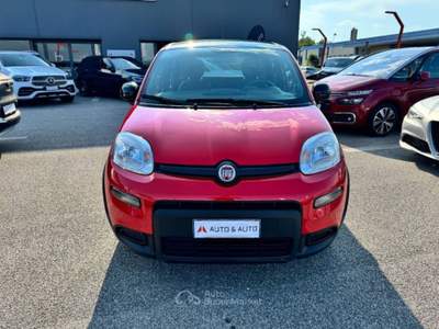 Fiat Panda 1.0 firefly hybrid Sport s&s 70cv Rosso usata Tavagnacco