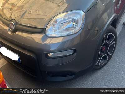 Fiat Panda City Life 1.0 GSE MHEV Grigio usata Vibo Valentia