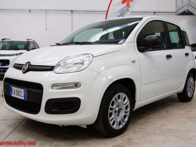 Fiat Panda Panda 1.2 69cv E6 Easy - Euro6, 5 posti, ok neopatentati! Bianco usata Busnago