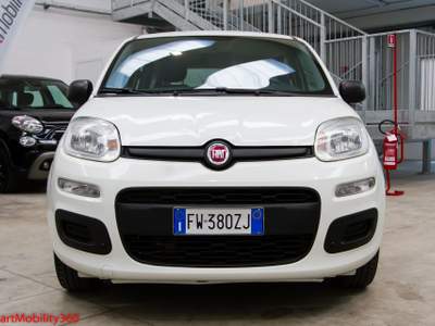 Fiat Panda Panda 1.2 69cv E6 Easy - Euro6, 5 posti, ok neopatentati! Bianco usata Busnago