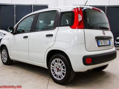 Fiat Panda Panda 1.2 69cv E6 Easy - Euro6, 5 posti, ok neopatentati! Bianco usata Busnago
