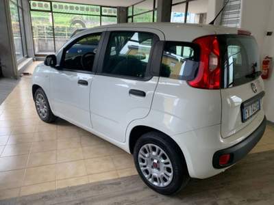 Fiat Panda 1.2 Easy 69cv Bianco usata Rovereto