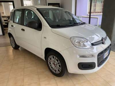Fiat Panda 1.2 Easy 69cv Bianco usata Rovereto