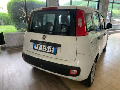 Fiat Panda 1.2 Easy 69cv Bianco usata Rovereto