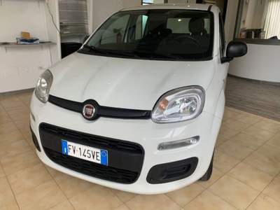 Fiat Panda 1.2 Easy 69cv Bianco usata Rovereto
