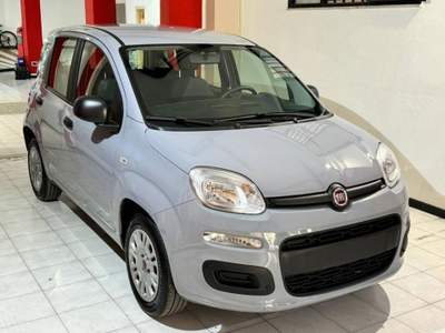 Fiat Panda 1.2 Easy s&s 69cv my19 Grigio usata Sassari