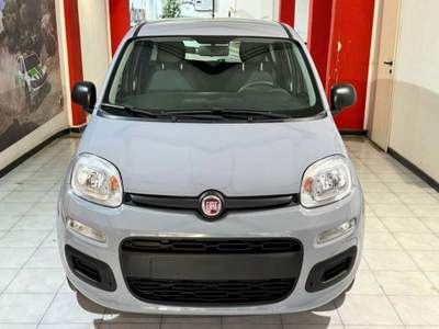 Fiat Panda 1.2 Easy s&s 69cv my19 Grigio usata Sassari
