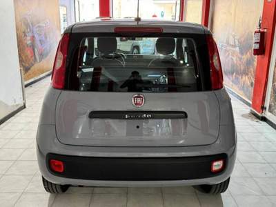 Fiat Panda 1.2 Easy s&s 69cv my19 Grigio usata Sassari
