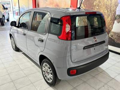 Fiat Panda 1.2 Easy s&s 69cv my19 Grigio usata Sassari