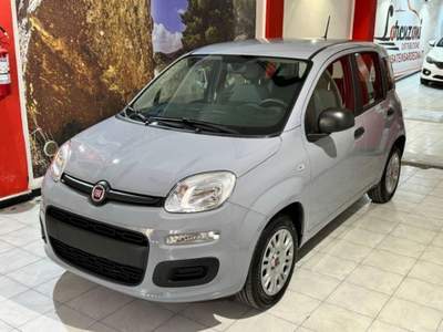 Fiat Panda 1.2 Easy s&s 69cv my19 Grigio usata Sassari
