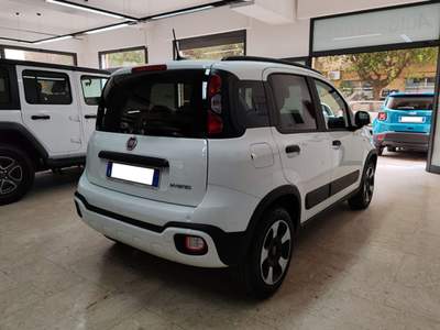 Fiat Panda 1.0 FireFly S&S Hybrid Bianco usata Palermo