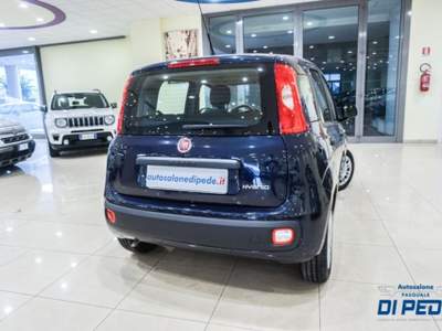 Fiat Panda 1.0 FireFly S&S Hybrid EASY Blu/Azzurro usata Matera