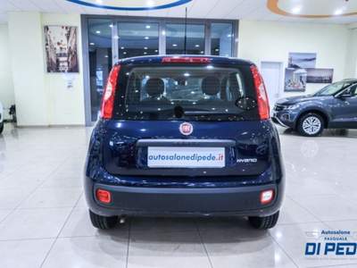 Fiat Panda 1.0 FireFly S&S Hybrid EASY Blu/Azzurro usata Matera