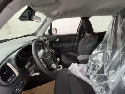 Jeep Renegade 1.6 Mjt 130 CV Limited Nero usata Canino