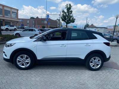 Opel Grandland 1.5 diesel aut. Business ,come nuova! Bianco usata Rivarolo Canavese