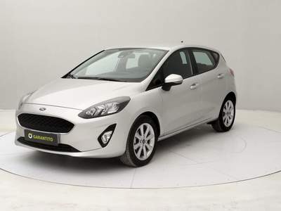 Ford Fiesta 1.1 Connect s&s 75cv Argento usata Torino