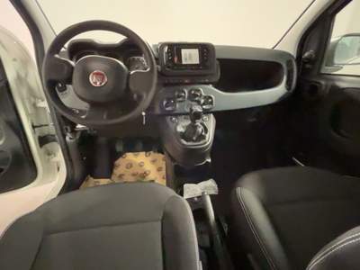 Fiat Panda 1.0 FireFly S&S Hybrid Bianco usata Canino