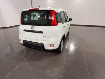 Fiat Panda 1.0 FireFly S&S Hybrid Bianco usata Canino