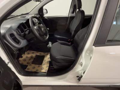 Fiat Panda 1.0 FireFly S&S Hybrid Bianco usata Canino