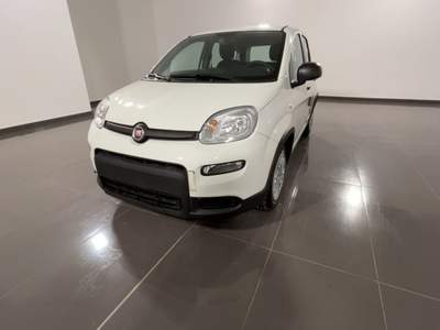 Fiat Panda 1.0 FireFly S&S Hybrid Bianco usata Canino
