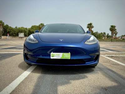 Tesla Model 3 TESLA Model 3 (5YJ3) EV Performance AWD Elettrico Blu/Azzurro usata Lecce
