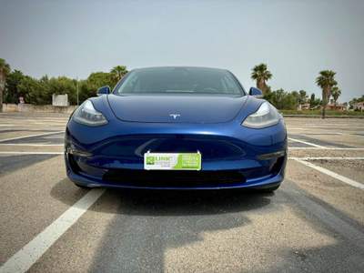 Tesla Model 3 TESLA Model 3 (5YJ3) EV Performance AWD Elettrico Blu/Azzurro usata Lecce