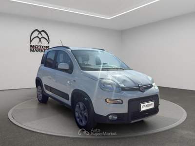 Fiat Panda 1.3 Multijet 4x4 Bianco usata Roma