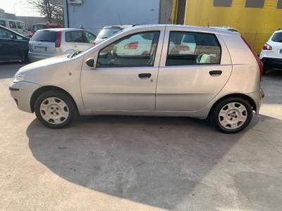 Fiat Punto 1.2 Nat.Power OK NEOPATENTATI Grigio usata Noventa Vicentina
