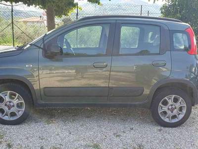 Fiat Panda 1.3 MJT 95 CV S&S 4x4 Verde usata Penne