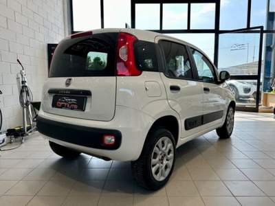 Fiat Panda 0.9 TwinAir Turbo S&S 4x4 Pop Van 2 posti *+ IVA* Bianco usata Bussero