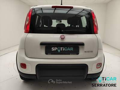Fiat Panda III 2021 1.0 firefly hybrid City Life s&s 70cv 5p.ti Bianco usata Erba